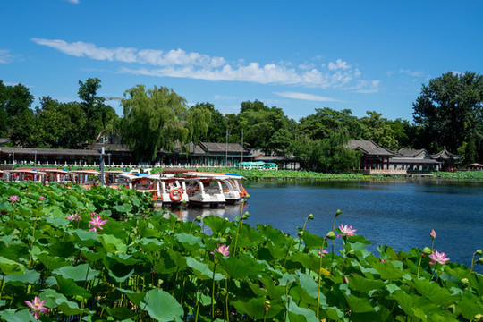 北京什剎海