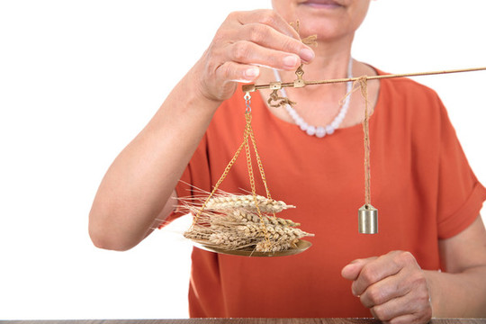 農(nóng)業(yè)相關(guān)專家正在稱新麥
