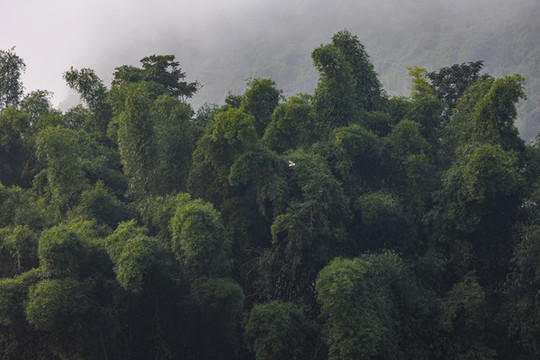 桂林陽朔山水