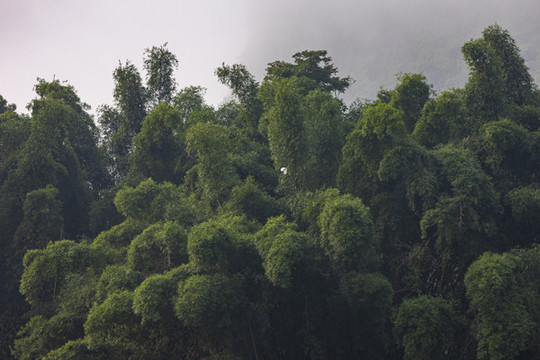桂林陽(yáng)朔山水