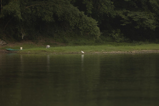 桂林陽朔湖面