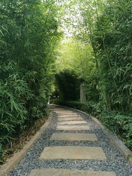 竹林小道