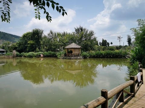 茅草景觀亭