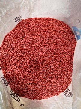 小麥拌種
