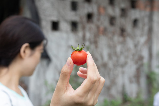 手拿小西紅柿