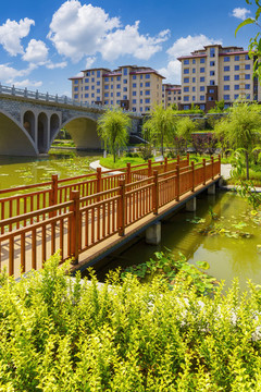 公園木橋