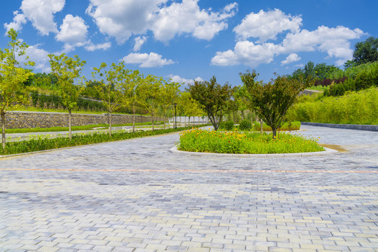 公園綠植青石板路面