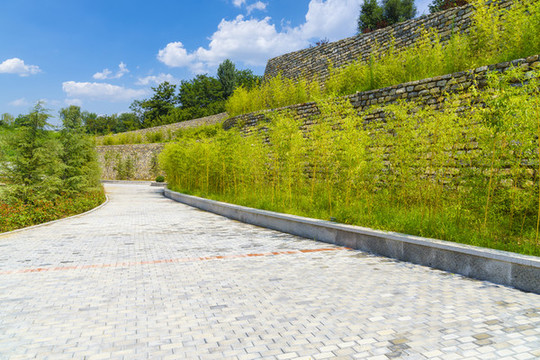 竹林背景的公園青磚路面景觀
