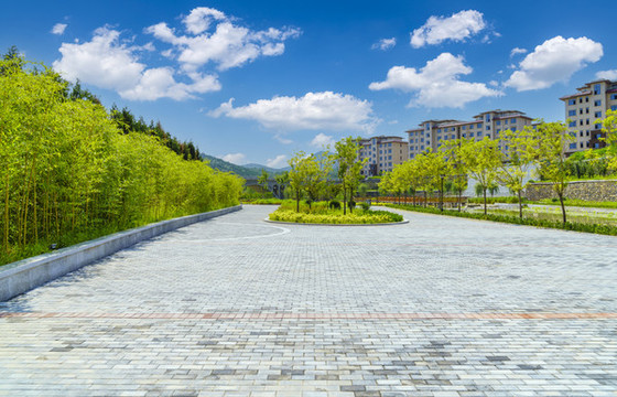 公園青磚路面竹林景觀