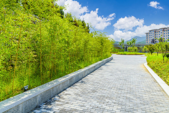 綠樹和樓房背景的青磚路面景觀