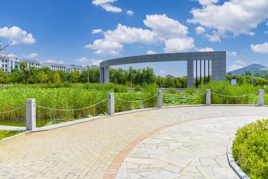 公園道路