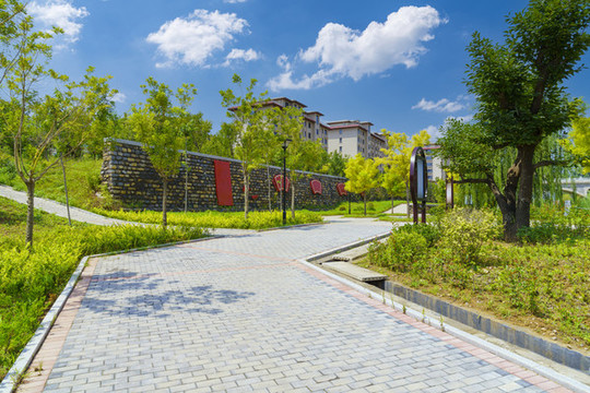 公園道路