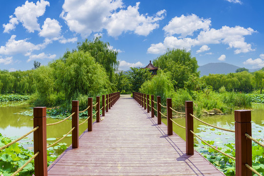 公園木橋