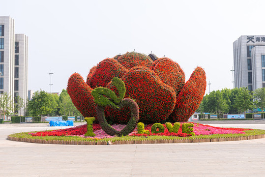 花壇