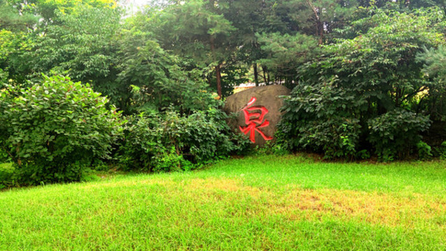 綠樹草地