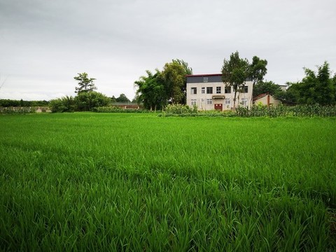 農(nóng)家田園