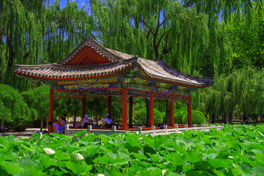 北京日壇公園