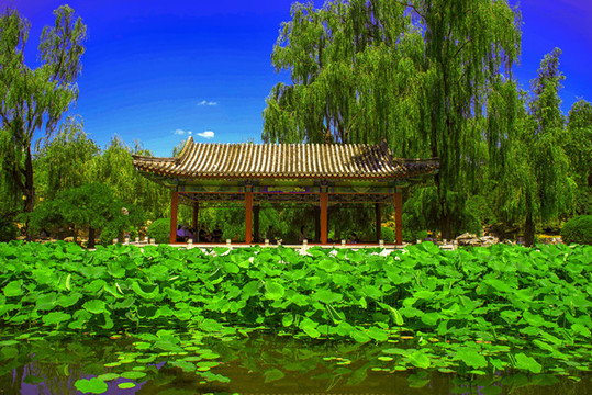 北京日壇公園