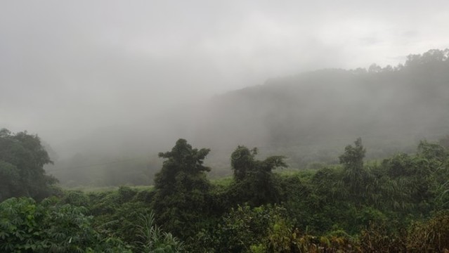 山霧