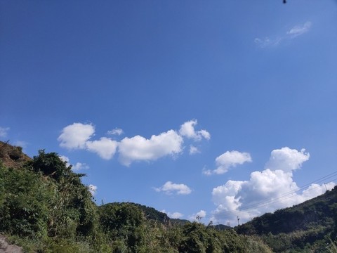 青山