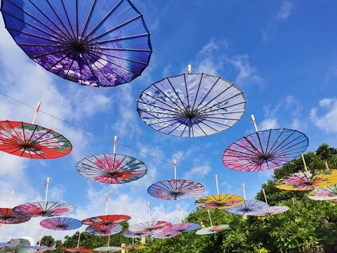 油紙傘