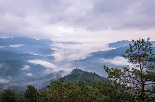 井崗山云海