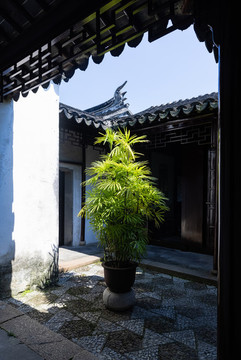 老宅庭院