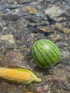 在河水中冰鎮(zhèn)西瓜玉米