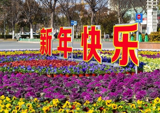 泗陽行政服務(wù)大廳側(cè)面新年快樂