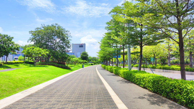 綠化示范區(qū)
