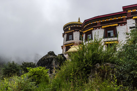 仰拍沖古寺
