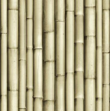 竹子