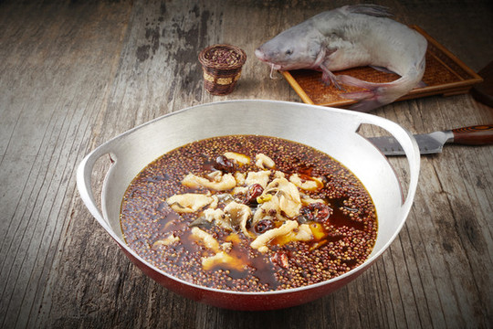 麻麻魚(yú)