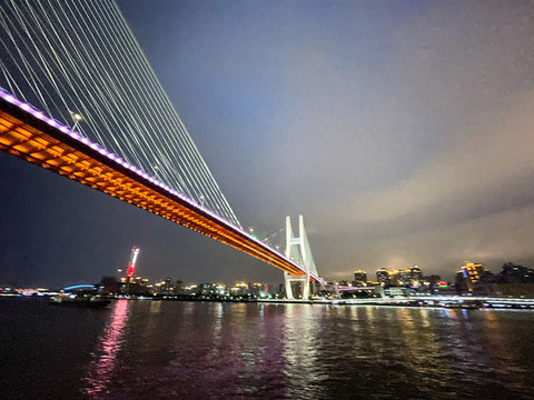 上海南浦大橋