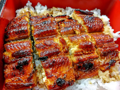 烤鰻魚(yú)