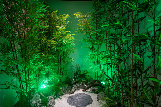 中式竹林造景