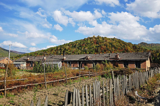 長(zhǎng)白山林區(qū)山里人家菜園景色
