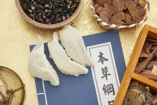 燕窩