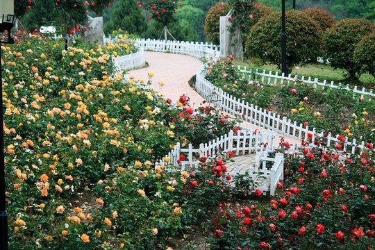 花園