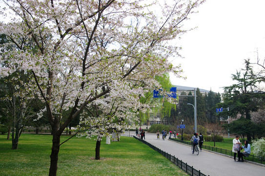 北京大學(xué)燕園校區(qū)