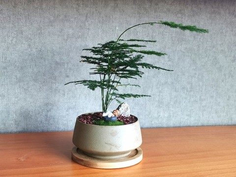 竹