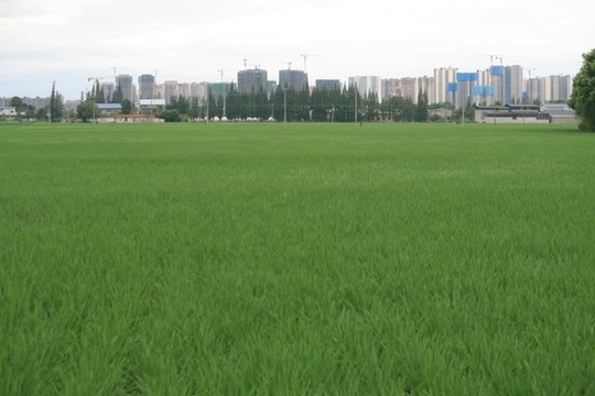 城鄉(xiāng)接合部