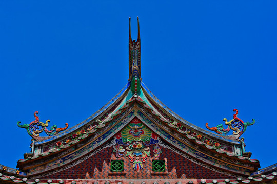 燕尾脊