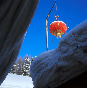 雪鄉(xiāng)森林公園