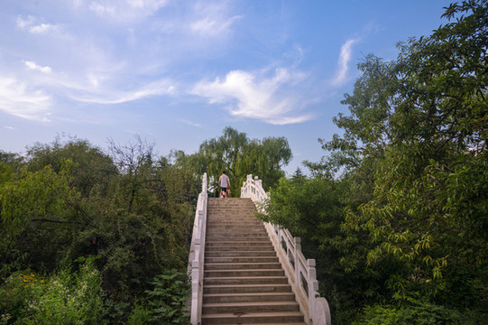 禹州市森林植物園