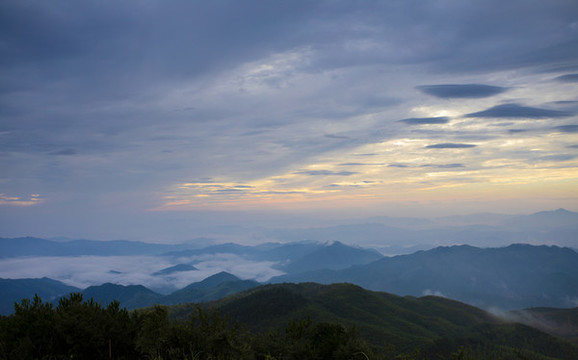 崇義上堡萬長山茶園日出