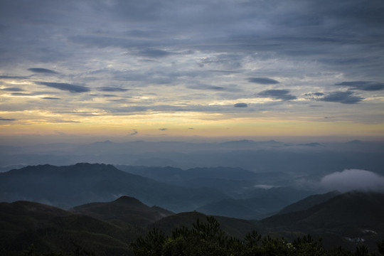 崇義上堡萬長山茶園日出