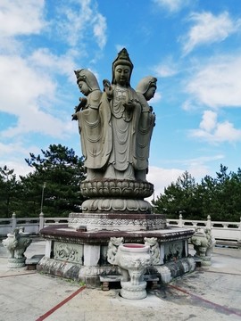 滴水觀音
