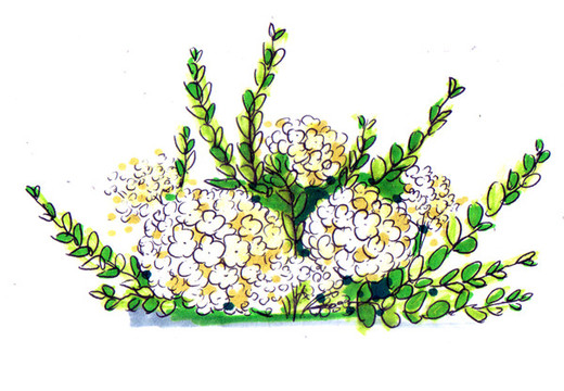 高清馬克筆花藝