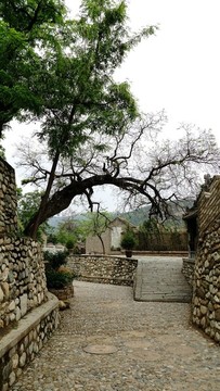 潼關(guān)縣秦東鎮(zhèn)水坡巷
